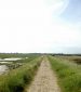 Pagham Harbour nature reserve in West Sussex, England