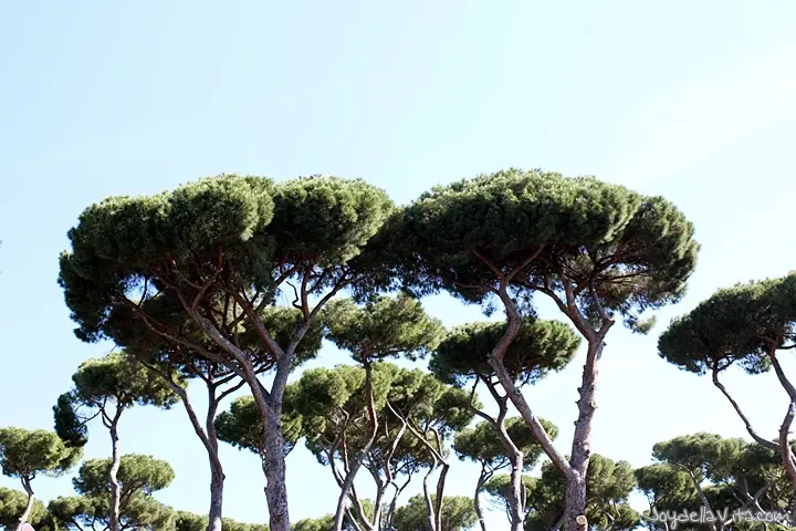 Villa Borghese Garden in the Heart of Rome