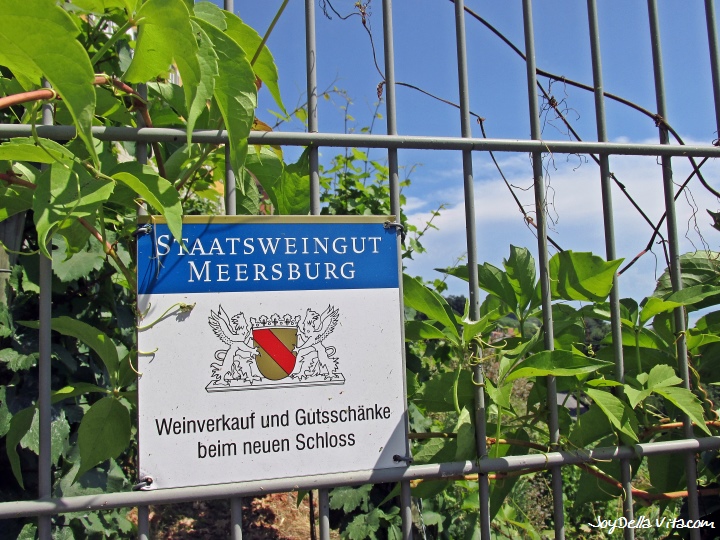 State Winery Meersburg