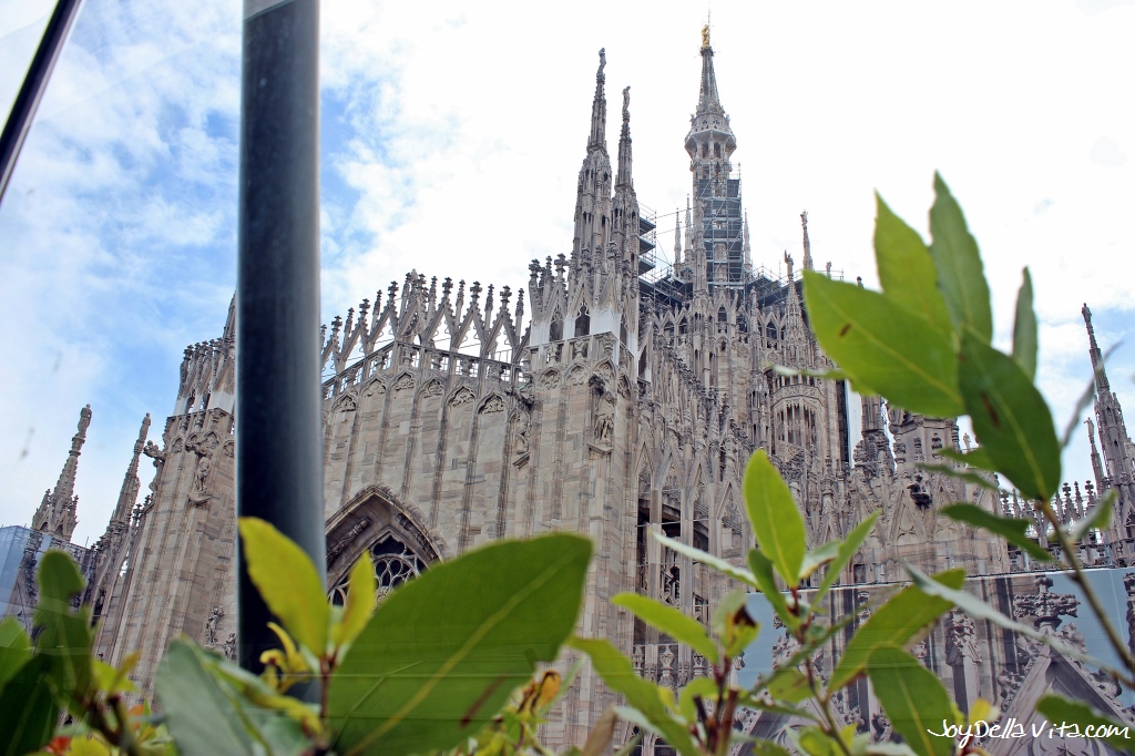 Duomo di Milano / Milan's Cathedral