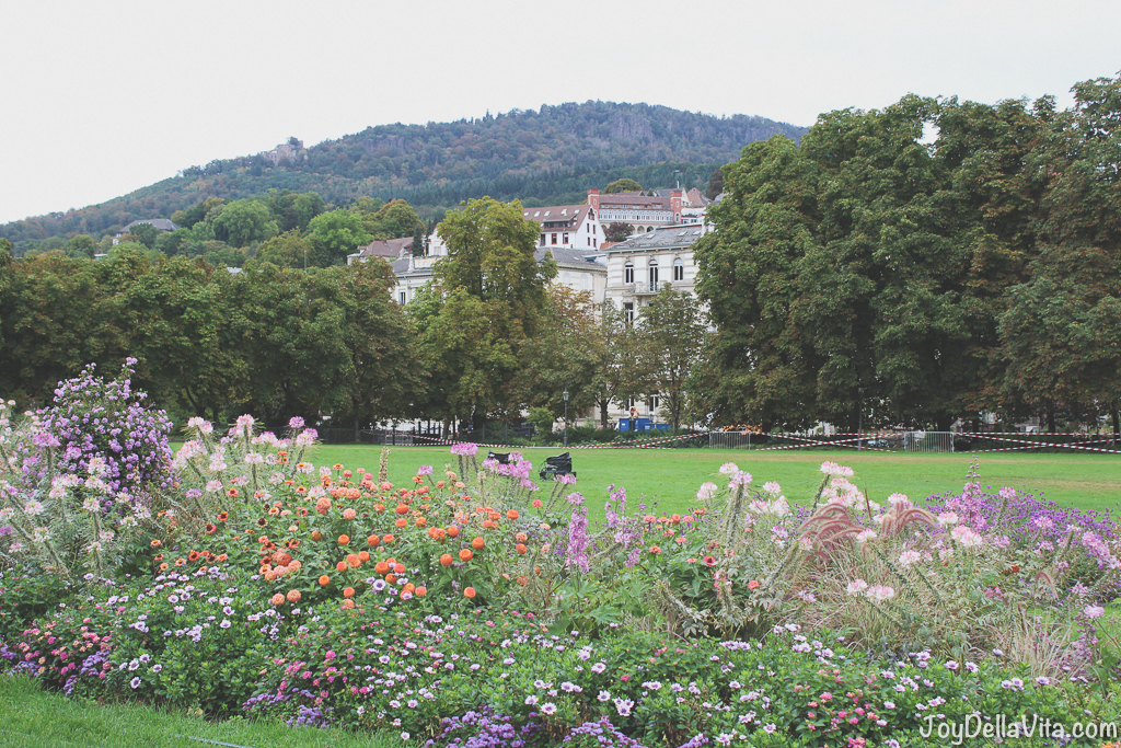 Top 5 activities in Baden-Baden