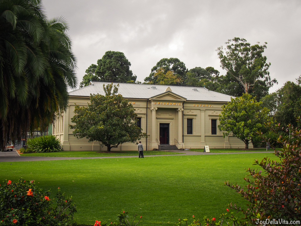 A visit to Adelaide Botanic Garden in late summer