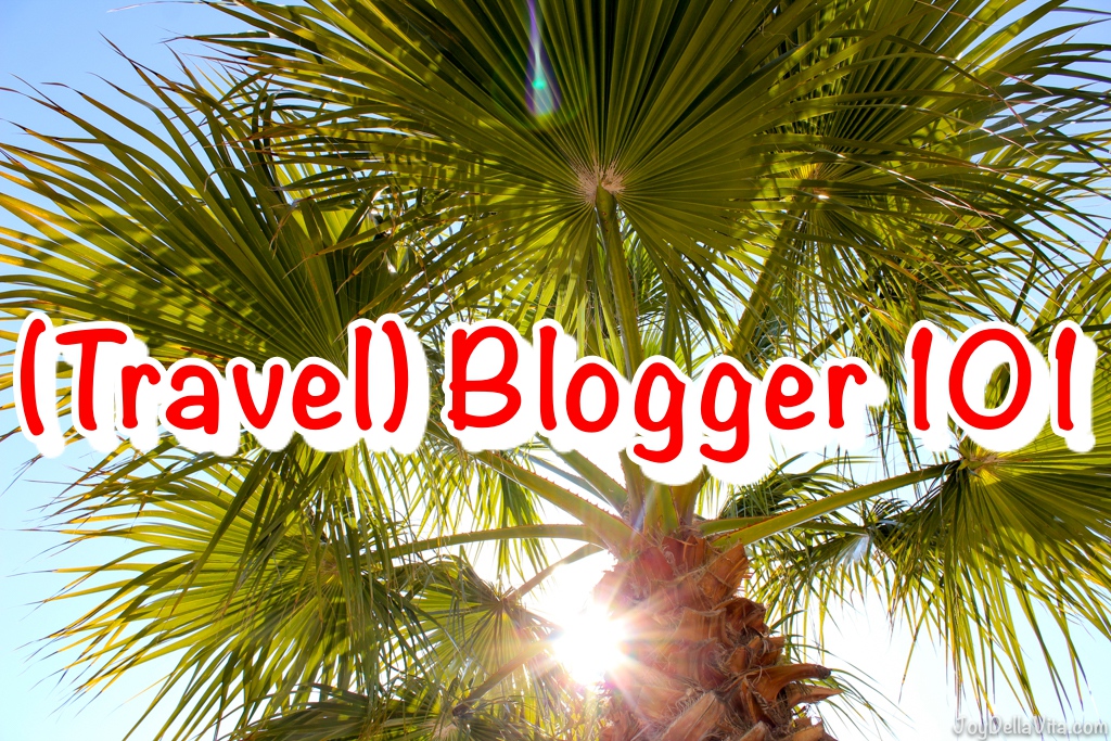 Travel Blogger 101 Business of Blogging Travelblog JoyDellaVita