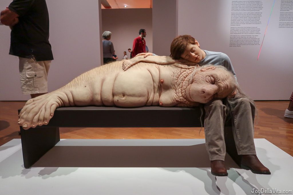 Patricia PICCININI The long awaited 2008 HYPER REAL National Gallery of Australia Canberra