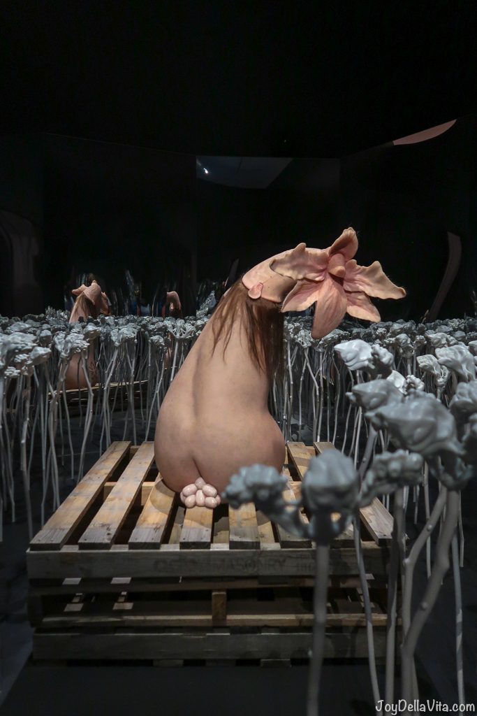 Patricia PICCININI Meadow 2017 HYPER REAL National Gallery of Australia Canberra