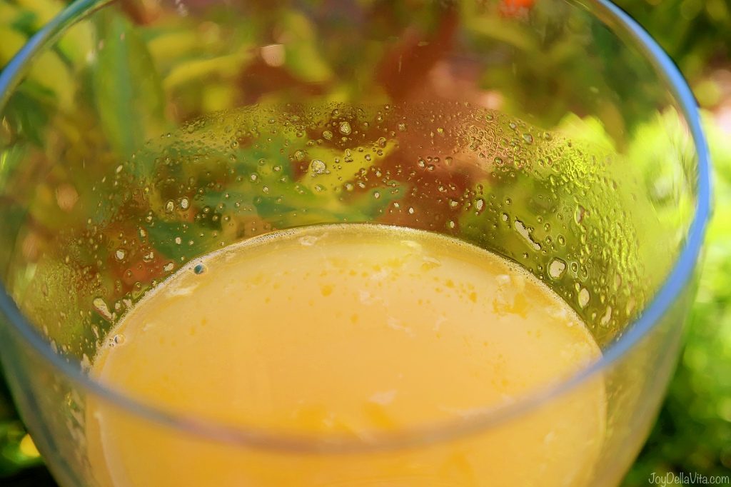 Orange Juice Tasting BURRIANA Valencia TravelBlog JoyDellaVita