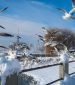 Sightseeing Walk: snowy Friedrichshafen at Lake Constance after the 24 h snowfall in January 2021
