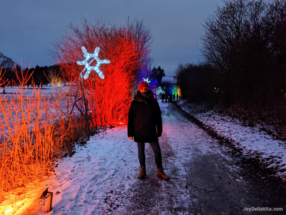 Walk in an illuminated forest – Winterleuchten Bad Waldsee 2022