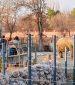 A visit to Skopje Zoo in Winter